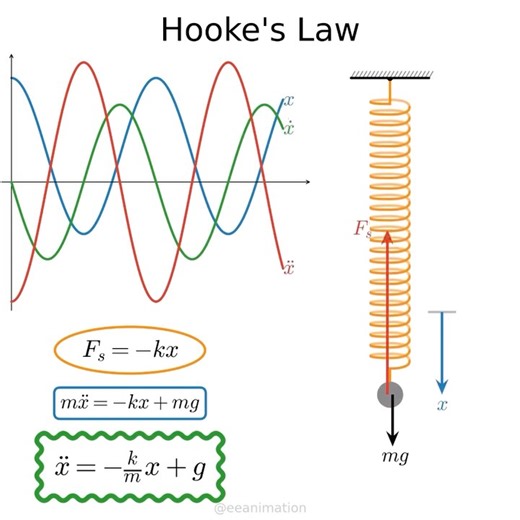 EE Animations on Instagram: "Hooke’s Law #physics #math #engineering #mechanical #sfs #viral #oscillator #harmonicoscillator"