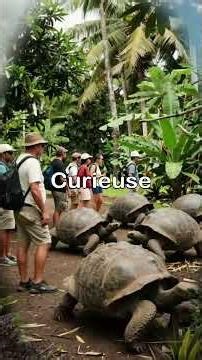 Top Destinations to Visit in Seychelles | Travel Guide