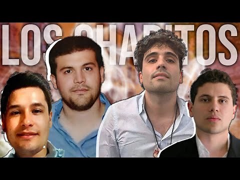 Los Chapitos | Sinaloa Drug Cartel | El Chapo & Sons | 2024 Update