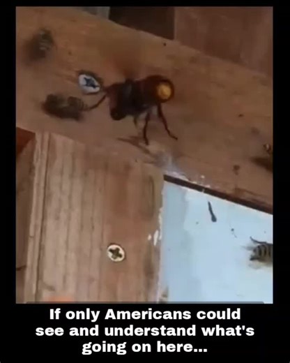 Metaphorical thinking , and solidarity are not American traits... but let's try. | Being Liberal