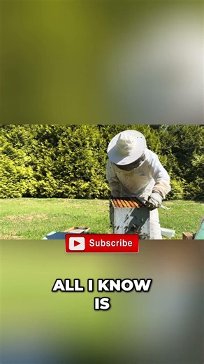 Smoke Calms Bees: Beehive Secrets & Itchy & Scratchy! #shorts