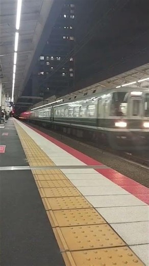 南海本線 羽衣駅 特急サザン 旧塗装10004 2026年５月