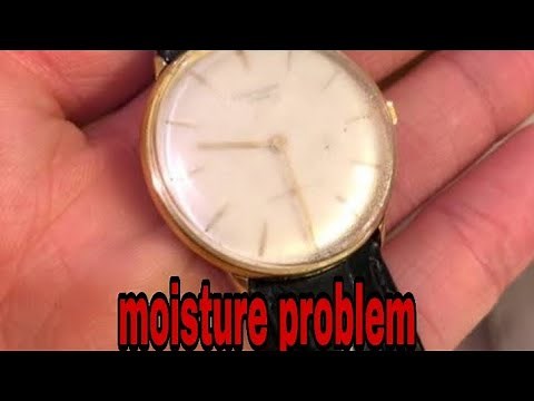 how to remove moisture out from your watch
