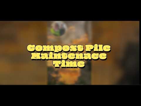 How to Maintain Backyard Compost Piles | Popeye Hill