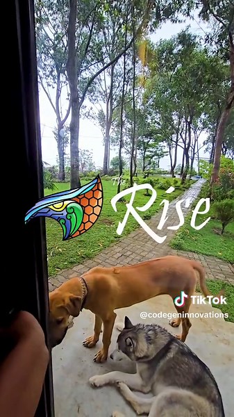 Transforming Work into Passion at CodeGen Innovations