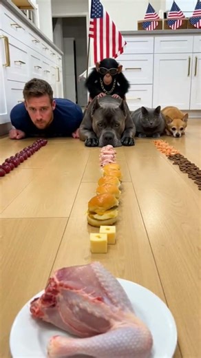 Dog eating dinner like slow chewing would ruin his whole legacy 😂😭 #dog #cat #eatingchallenge #food