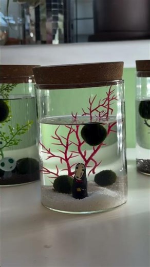 Mini Aquarium with a Living Moss Ball 🫙💚 #shorts