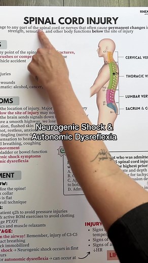 Two big topics surrounding spinal cord injuries! The biggest difference: Neurogenic shock shows major PNS symptoms (vasodilation) below the site of injury whereas autonomic dysreflexia shows SNS symptoms below the site of injury and PNS symptoms above the site of injury. #fyp #foryou #nursing #nursingstudent #nursingschool #studytok #study #spinalcordinjuryrecovery #sci #neurogenicshock #autonomicdysreflexia #medsurg #nurse #nursesoftiktok #nursetok #nclex #nclextips #nclexprep #rn