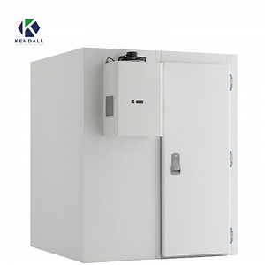 [Hot Item] Cold Storage Construction Large Walk in Cooler Freezer Combo