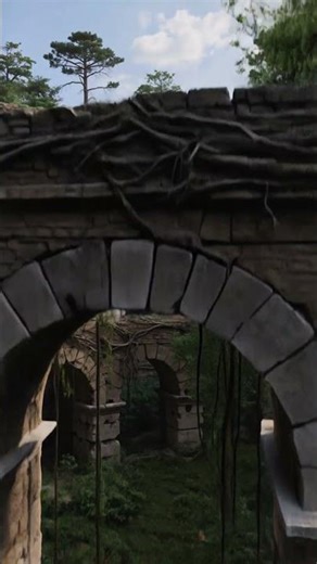 1000 years later. The Colosseum. The wolves moved in 800 years ago. 🐺🌿
