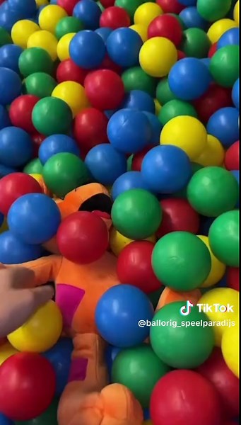 ballorig_speelparadijs op TikTok
