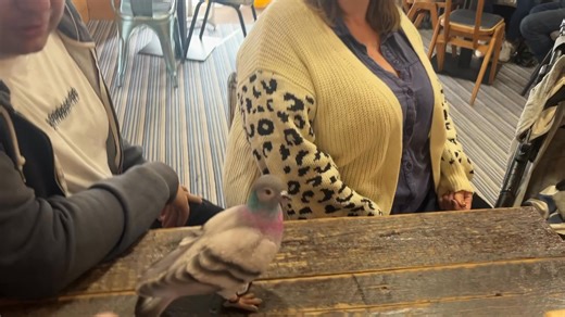 Chris Reardon on Reels