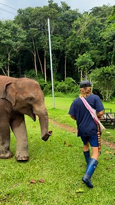 Bank Mahout on Reels