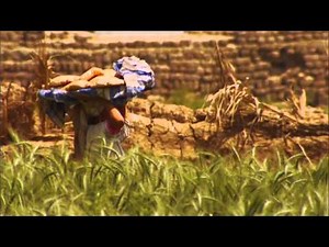 Faith Lessons Vol. 9 Video Bible Study by Ray Vander Laan - Trailer