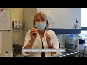 Comment fonctionne un vaccin à ARN Messager ?
