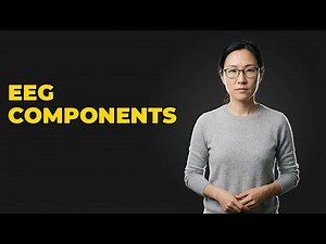 What Are The Fundamental Components Of An EEG Neurofeedback Setup?