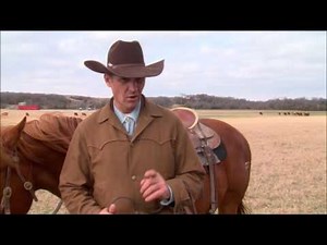 Beef Quality Assurance Program