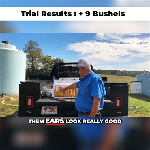 7.2K views · 34 reactions | Pulled the N-Finity plot results and yep... 9 extra bushels. You think size don’t matter? Watch this kernel comparison. Full details  https://www.xtremeag.farm/size-matters-corn. #farmtrial #corn #farming #agriculture. Agricen | XtremeAg.farm | Facebook