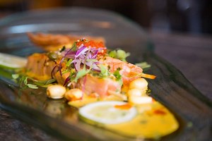 31K views · 456 reactions | Peru Fusion | Food & Pisco Festival 2016 Van Vleck House & Gardens Montclair, New Jersey July 9-10, 2016 www.perufusion.us | Perú Fusion Festival | Facebook