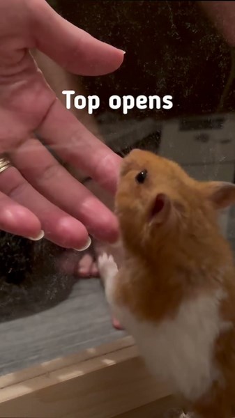 We Upgraded Our Hamster’s Cage & He’s Obsessed! | PawHut #pawhut #hamster #pets #hamstercage