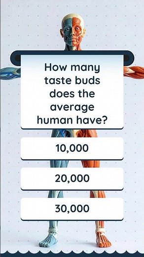 How Many Taste Buds Do Humans Have? 😋 | Human Body Quiz