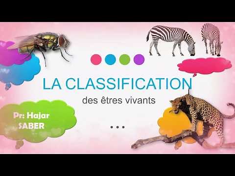 La classification des animaux 1AC (partie 1)