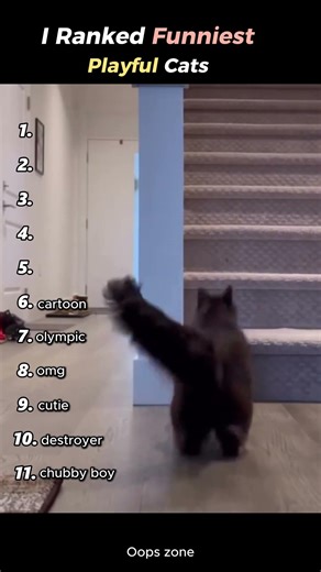 I Ranked The Funniest Playful Cats With Unlimited Energy 🐾⚡💀
