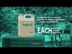 Badge® SC Bactericide/Fungicide Overview from Gowan Company