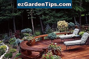 Njega biljke Kniphofia Flamenco 🌱 Savjeti Vrtlari - Hr.ezGardenTips.com