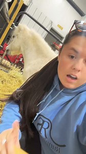 Karen is 335 days pregnant😅 | Katie Van Slyke