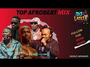 Best Ghana Afrobeat Mix 2025 🔥 Club & Party Vibes #daddylumba #kingpaluta