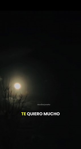 Ricardo Arjona Official Music Video Compilation
