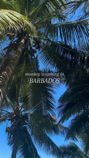 27K views · 516 reactions | Meet one of our most famous locals: the...