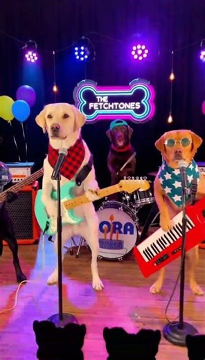 Cora's Birthday! Happy Birthday from Grandpa & Gigi