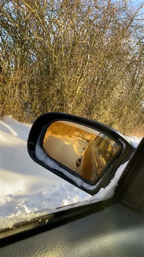 Understanding the OM648 Turbo Diesel Engine Performance