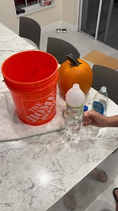 20K views · 4.5K reactions | We carve that pumpkin one week ago today. We did not put it in the solution. I just showed you. #pumpkinseason #carving #fall | Anne Caserta | Facebook