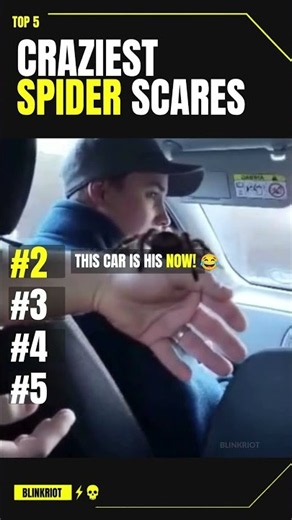 TOP 5 CRAZIEST SPIDER SCARES 🕷️💀