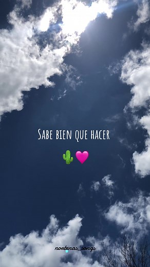 Continuo Atardecer: Conjunto Nuevo Amanecer 🎷