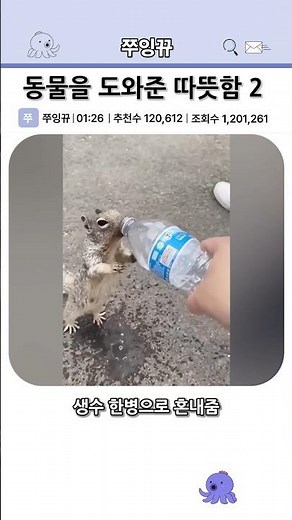 동물을 도와주는 따뜻함 2