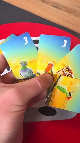 BIRDIE is a super cute and super simply deck programming game from Gate on Games that I picked up from @Games Crusade Toy Shop fabulous selection this week! A huge hit with the little one #boardgames #games #play