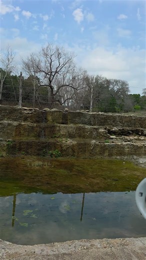 #texas #turtle | turtle