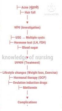 PCOS flow chart