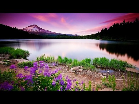 HD Beautiful Wallpapers