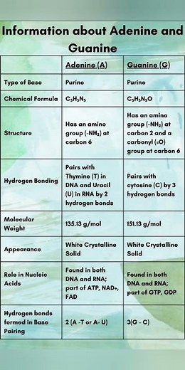 Information about Adenine & Guanine/ #adenine #science