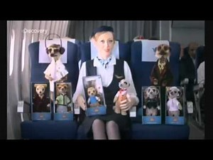 Compare the Meerkat - Advert 16 - Short Version