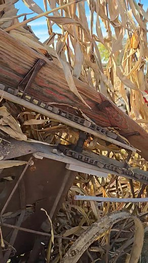 Another view | Johnson County Antique Machinery Association