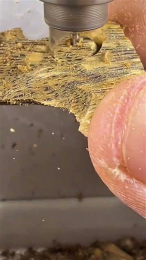 Slicing a fresh large orange melon fruit neatly using a manual sharp kitchen knife in outdoor area