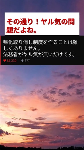 【衝撃】帰化取り消し制度は作ろうと思えば簡単だった！法務省がやる気ない理由とは