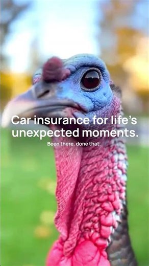 Unexpected Moments on the Road | Why Car Insurance Matters