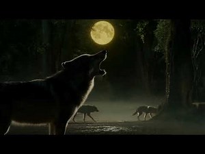 Mystic Wolves in the Moonlight | AI Short Film
